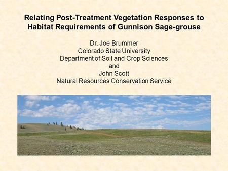 Relating Post-Treatment Vegetation Responses to Habitat Requirements of Gunnison Sage-grouse Dr. Joe Brummer Colorado State University Department of Soil.