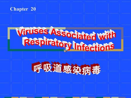 Viruses Associated with Respiratory Infections