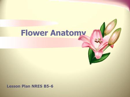 Flower Anatomy Lesson Plan NRES B5-6.