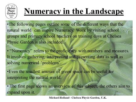 Numeracy in the Landscape The following pages outline some of the different ways that the natural world can inspire Numeracy. Work by visiting school groups.