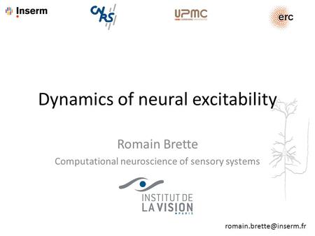 Romain Brette Computational neuroscience of sensory systems Dynamics of neural excitability.