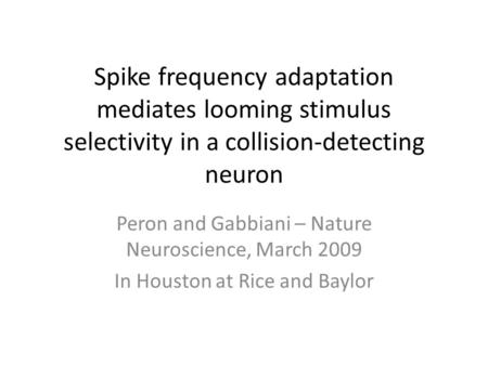 Spike frequency adaptation mediates looming stimulus selectivity in a collision-detecting neuron Peron and Gabbiani – Nature Neuroscience, March 2009 In.