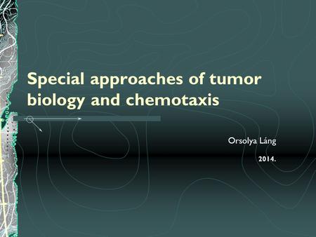 Special approaches of tumor biology and chemotaxis Orsolya Láng 2014.