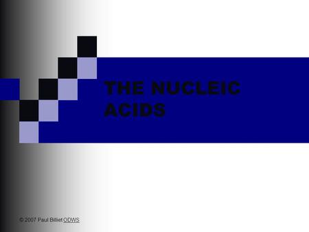 THE NUCLEIC ACIDS © 2007 Paul Billiet ODWSODWS. Friedrich Miescher in 1869 isolated what he called nuclein from the nuclei of pus cells Nuclein was shown.