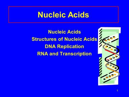 1 Nucleic Acids Structures of Nucleic Acids DNA Replication RNA and Transcription.