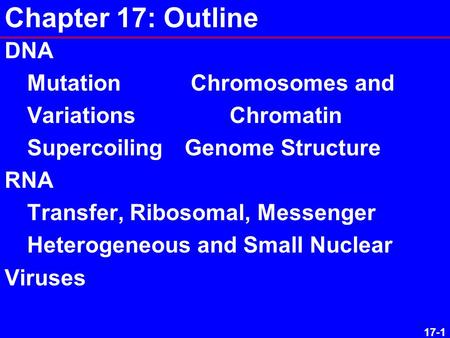 17-1 Chapter 17: Outline DNA Mutation Chromosomes and Variations Chromatin SupercoilingGenome Structure RNA Transfer, Ribosomal, Messenger Heterogeneous.