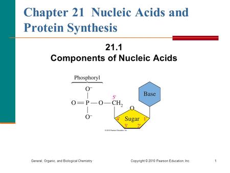 General, Organic, and Biological Chemistry Copyright © 2010 Pearson Education, Inc.1 Chapter 21 Nucleic Acids and Protein Synthesis 21.1 Components of.