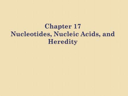 Chapter 17 Nucleotides, Nucleic Acids, and Heredity.