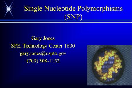 1 Single Nucleotide Polymorphisms (SNP) Gary Jones SPE, Technology Center 1600 (703) 308-1152.