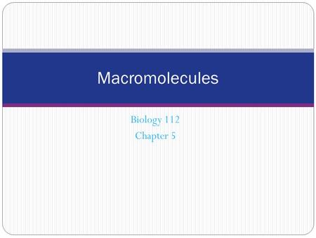 Biology 112 Chapter 5 Macromolecules. All living things are made up of four classes of large biological molecules: carbohydrates, lipids, proteins, and.