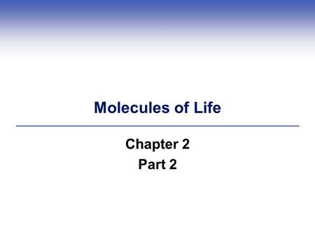 Molecules of Life Chapter 2 Part 2. 2.6 Organic Molecules  The molecules of life – carbohydrates, proteins, lipids, and nucleic acids – are organic molecules.