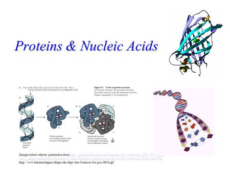 Proteins & Nucleic Acids Images taken without permission from