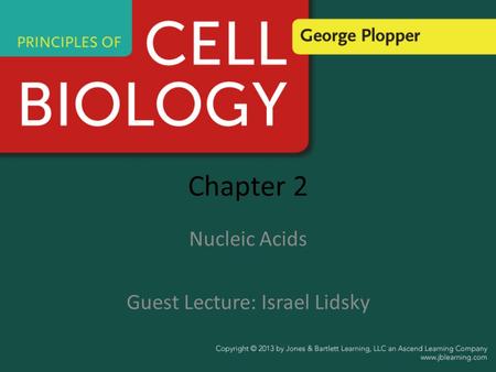 Chapter 2 Nucleic Acids Guest Lecture: Israel Lidsky.