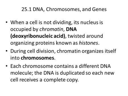 25.1 DNA, Chromosomes, and Genes When a cell is not dividing, its nucleus is occupied by chromatin, DNA (deoxyribonucleic acid), twisted around organizing.
