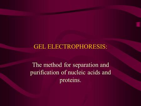 GEL ELECTROPHORESIS: The method for separation and purification of nucleic acids and proteins.