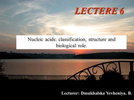 LECTERE 6 Nucleic acids: classification, structure and biological role. Lecturer: Dmukhalska Yevheniya. B.
