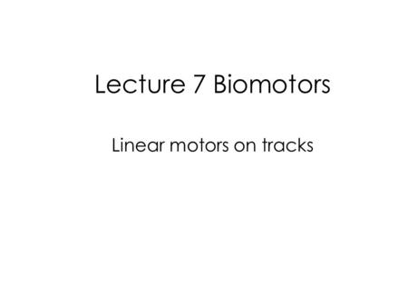 Lecture 7 Biomotors Linear motors on tracks. Examples of Biomolecular Motors Karplus and Gao, Curr Opin. Struct. Biol (2004) 250-259.