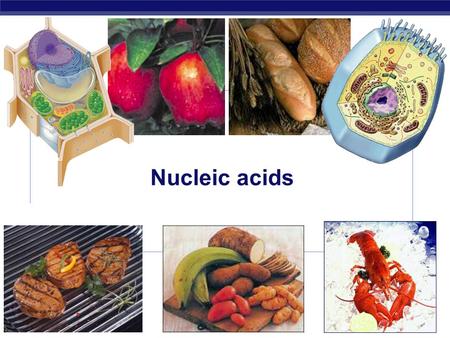 Nucleic acids 2006-2007 Nucleic Acids Information storage.