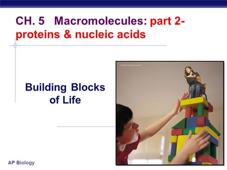 AP Biology 2007-2008 CH. 5 Macromolecules: part 2- proteins & nucleic acids Building Blocks of Life.