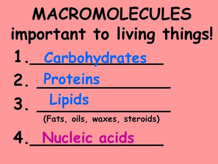 MACROMOLECULES important to living things! 1._____________ 2. _____________ 3. _____________ (Fats, oils, waxes, steroids) 4._____________ Carbohydrates.