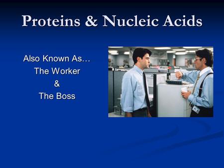 Proteins & Nucleic Acids Also Known As… The Worker & The Boss.