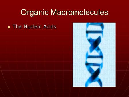 Organic Macromolecules The Nucleic Acids The Nucleic Acids.