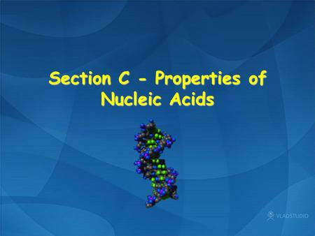 Section C - Properties of Nucleic Acids