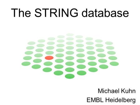 The STRING database Michael Kuhn EMBL Heidelberg.