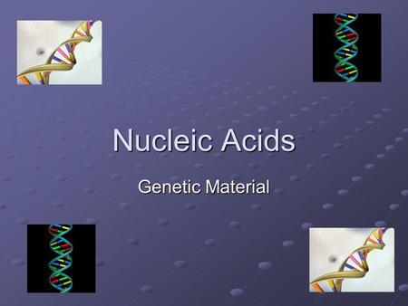 Nucleic Acids Genetic Material. Nucleic Acids are macromolecules Nucleic Acids are the source of genetic material for all living things Nucleic Acids.