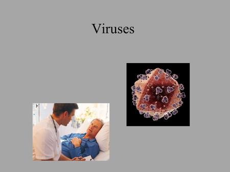 Viruses. General Characteristics of viruses 1.Depending on one’s viewpoint, viruses may be regarded as exceptionally complex aggregations of nonliving.