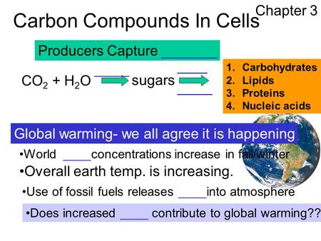 Carbon Compounds In Cells Chapter 3 Producers Capture _______ CO 2 + H 2 O sugars 1.Carbohydrates 2.Lipids 3.Proteins 4.Nucleic acids World ____concentrations.