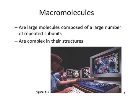 1 Macromolecules – Are large molecules composed of a large number of repeated subunits – Are complex in their structures Figure 5.1.
