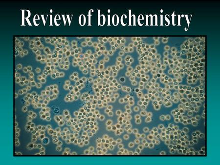 Review of biochemistry