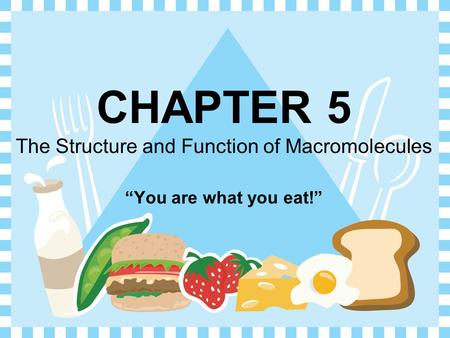 CHAPTER 5 The Structure and Function of Macromolecules