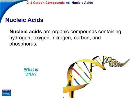 End Show 2–3 Carbon Compounds Slide 1 of 37 Nucleic Acids Nucleic acids are organic compounds containing hydrogen, oxygen, nitrogen, carbon, and phosphorus.