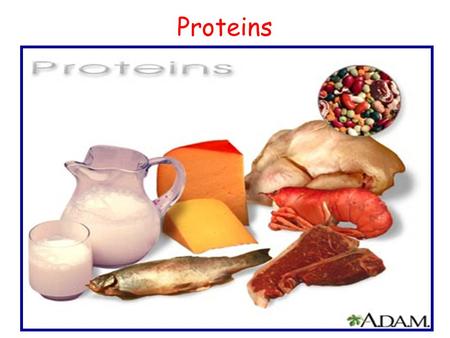 Proteins. Proteins / Polypeptides The functional molecules of life.