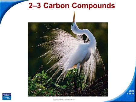 Slide 1 of 37 Copyright Pearson Prentice Hall 2–3 Carbon Compounds.