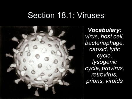 Section 18.1: Viruses Vocabulary: virus, host cell, bacteriophage, capsid, lytic cycle, lysogenic cycle, provirus, retrovirus, prions, viroids.
