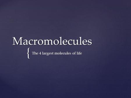 { Macromolecules The 4 largest molecules of life.