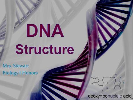Mrs. Stewart Biology I Honors. STANDARDS: CLE 3210.4.1Investigate how genetic information is encoded in nucleic acids. CLE 3210.4.2Describe the relationships.