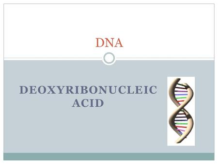 DEOXYRIBONUCLEIC ACID DNA. O.L Lesson Objectives At the end of this lesson you should be able to 1. Outline the simple structure of DNA – 2 strands and.