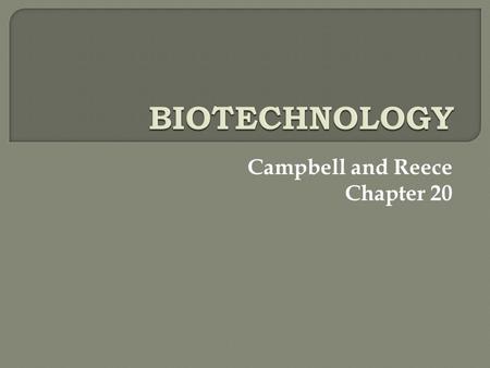Campbell and Reece Chapter 20.  made possible: Human Genome Project completed in 9 yrs (2001) by 2010 genomes of > 7,000 species.