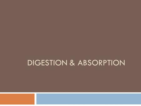 Digestion & absorption
