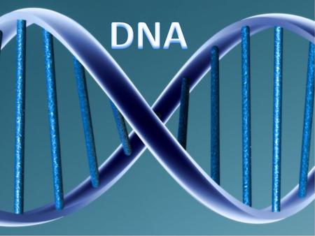 DNA DNA stands for Deoxyribonucleic Acid. That is a big fancy word that describes what molecules it is made up of. It is composed from a sugar – Deoxyribose.