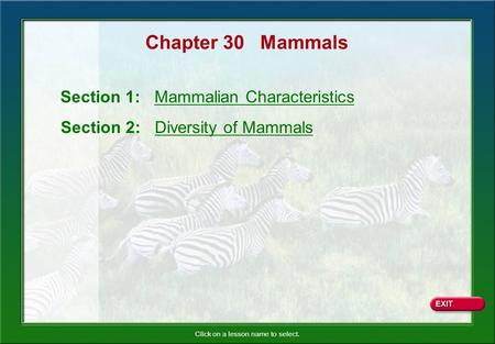 Chapter 30 Mammals Section 1: Mammalian Characteristics