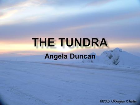 Angela Duncan.  Located above the Arctic Circle  Stretches from northern Scandinavia, across Russia, Siberia, Northern Alaska, and finally to Canada.