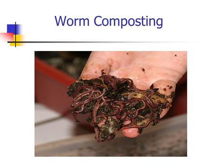 Worm Composting. Vermicomposting WHAT – Process of using worms to recycle organic material and food scraps into worm compost, or vermicompost (vermiculture)