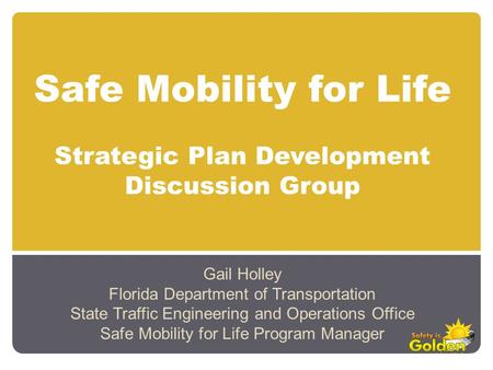 Safe Mobility for Life Strategic Plan Development Discussion Group Gail Holley Florida Department of Transportation State Traffic Engineering and Operations.