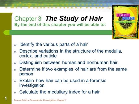 Identify the various parts of a hair