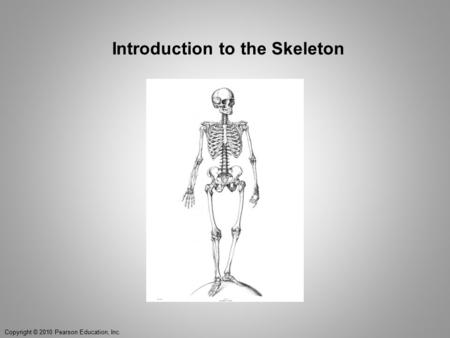 Introduction to the Skeleton